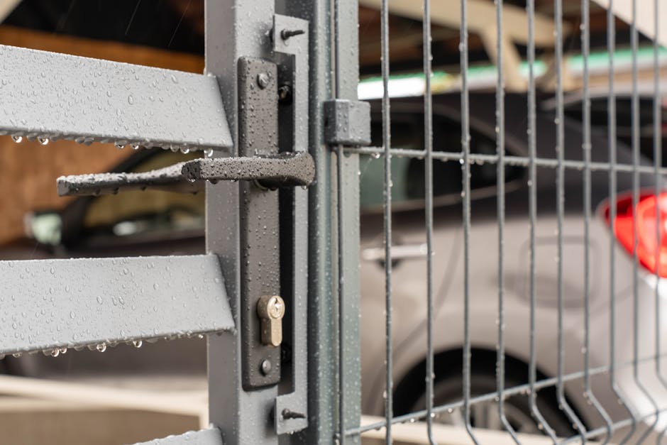 How to Choose the Right Car Locks